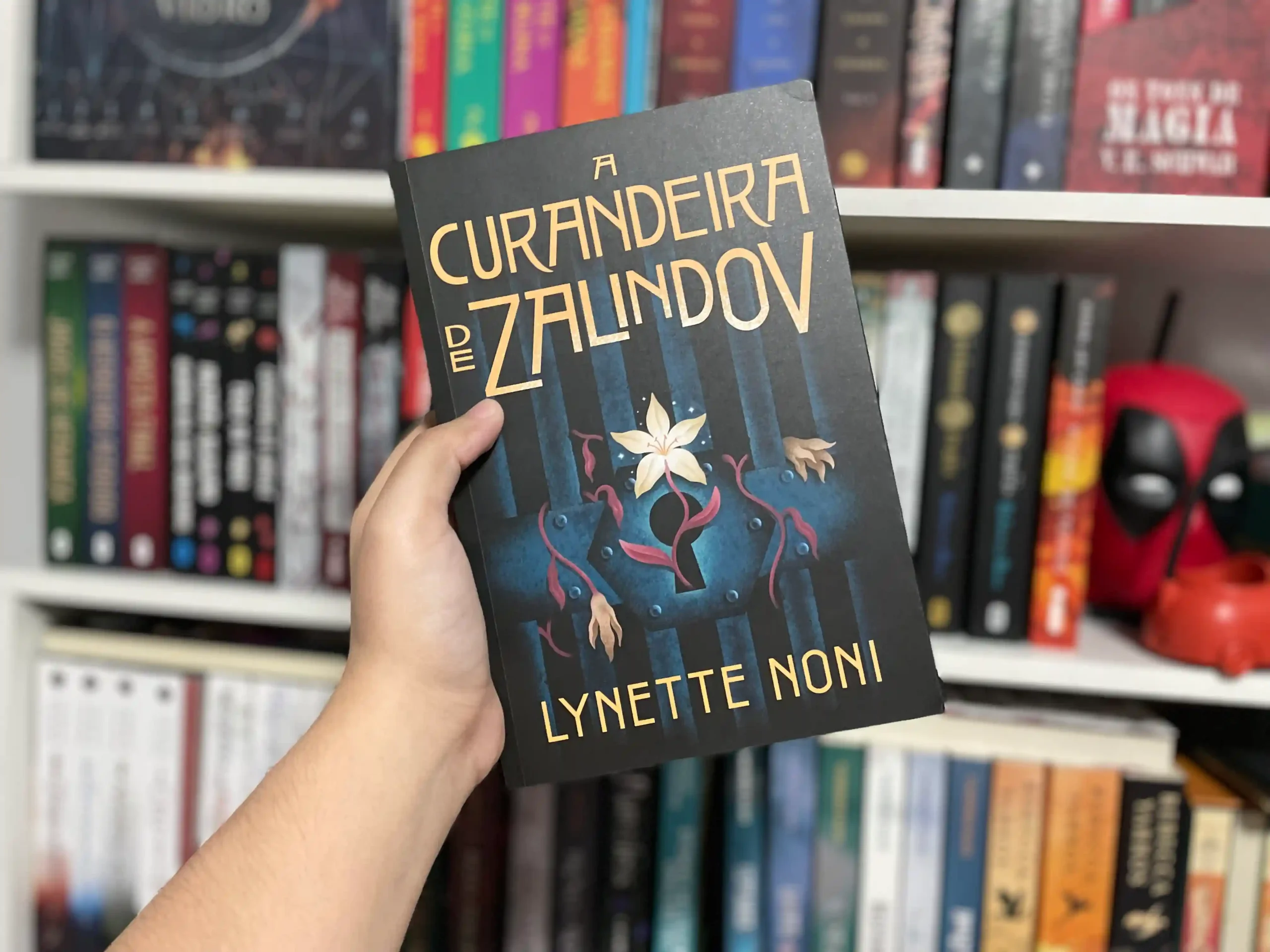 Resenha: A Curandeira de Zalindov – Lynette Noni